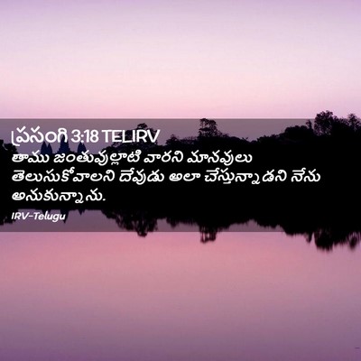 Picture 02 - ప్రసంగి 3:18 TELIRV - తాము జంతువుల్లాటి - Bible Verse Picture