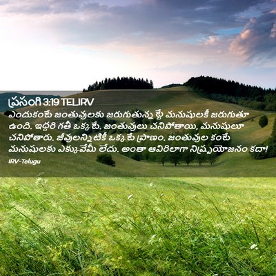 Picture 02 - ప్రసంగి 3:19 TELIRV - ఎందుకంటే - Bible Verse Picture