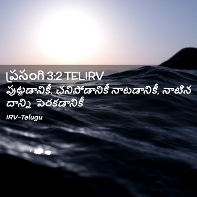 Picture 02 - ప్రసంగి 3:2 TELIRV - పుట్టడానికీ, - Bible Verse Picture