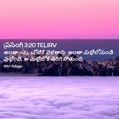 Picture 02 - ప్రసంగి 3:20 TELIRV - అంతా ఒక్క చోటికే - Bible Verse Picture