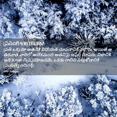 Picture 02 - ప్రసంగి 4:16 TELIRV - ప్రతి ఒక్కరూ - Bible Verse Picture