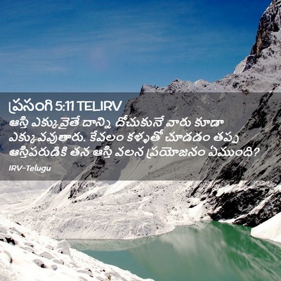 Picture 02 - ప్రసంగి 5:11 TELIRV - ఆస్తి ఎక్కువైతే - Bible Verse Picture