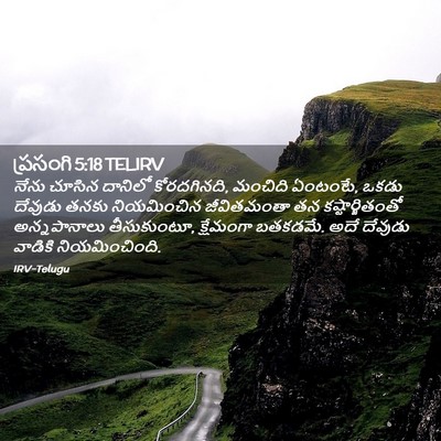 Picture 02 - ప్రసంగి 5:18 TELIRV - నేను చూసిన దానిలో - Bible Verse Picture
