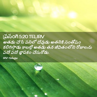 Picture 02 - ప్రసంగి 5:20 TELIRV - అతడు చేసే పనిలో - Bible Verse Picture