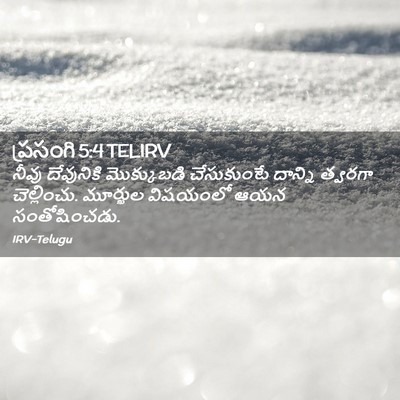 Picture 02 - ప్రసంగి 5:4 TELIRV - నీవు దేవునికి - Bible Verse Picture