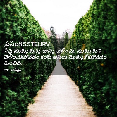 Picture 02 - ప్రసంగి 5:5 TELIRV - నీవు మొక్కుకున్న - Bible Verse Picture