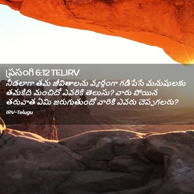 Picture 02 - ప్రసంగి 6:12 TELIRV - నీడలాగా తమ - Bible Verse Picture