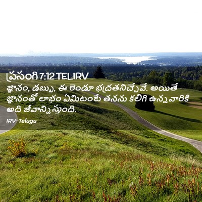 Picture 02 - ప్రసంగి 7:12 TELIRV - జ్ఞానం, డబ్బు, ఈ - Bible Verse Picture