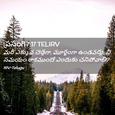 Picture 02 - ప్రసంగి 7:17 TELIRV - మరీ ఎక్కువ - Bible Verse Picture