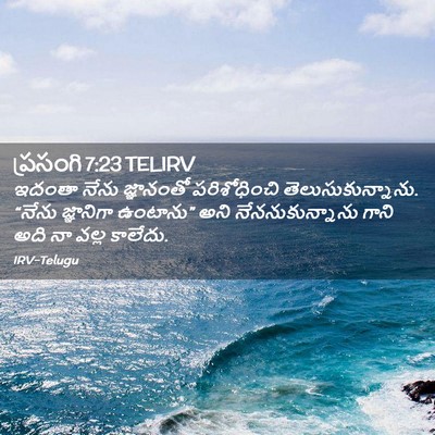 Picture 02 - ప్రసంగి 7:23 TELIRV - ఇదంతా నేను - Bible Verse Picture