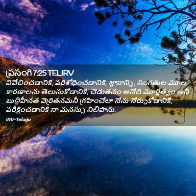 Picture 02 - ప్రసంగి 7:25 TELIRV - వివేచించడానికి, - Bible Verse Picture