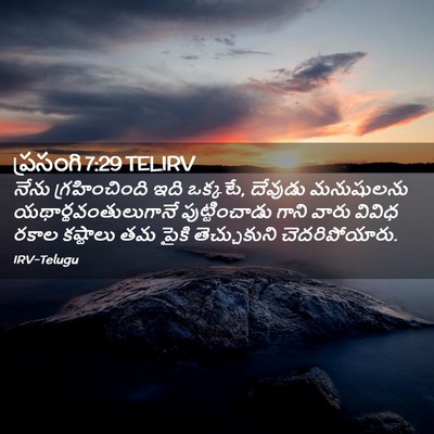 Picture 02 - ప్రసంగి 7:29 TELIRV - నేను గ్రహించింది - Bible Verse Picture