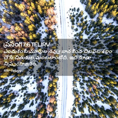 Picture 02 - ప్రసంగి 7:6 TELIRV - ఎందుకంటే మూర్ఖుల - Bible Verse Picture