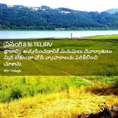 Picture 02 - ప్రసంగి 8:16 TELIRV - జ్ఞానాన్ని - Bible Verse Picture