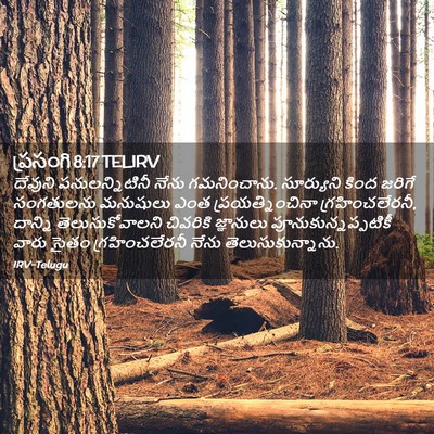 Picture 02 - ప్రసంగి 8:17 TELIRV - దేవుని - Bible Verse Picture