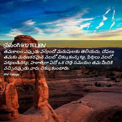 Picture 02 - ప్రసంగి 9:12 TELIRV - తమకాలం ఎప్పుడు - Bible Verse Picture