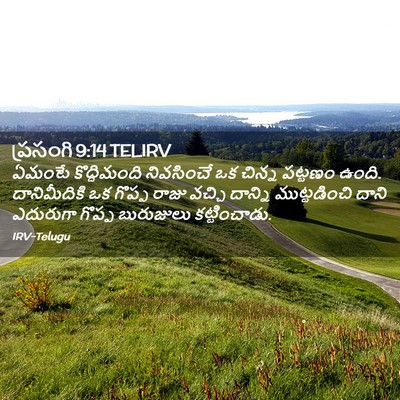 Picture 02 - ప్రసంగి 9:14 TELIRV - ఏమంటే కొద్దిమంది - Bible Verse Picture