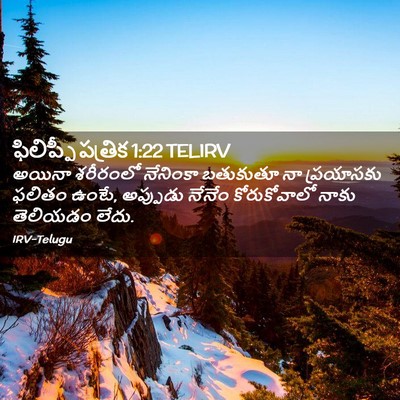 Picture 02 - ఫిలిప్పీ పత్రిక 1:22 TELIRV - అయినా శరీరంలో - Bible Verse Picture