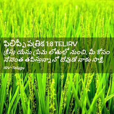 Picture 02 - ఫిలిప్పీ పత్రిక 1:8 TELIRV - క్రీస్తు యేసు - Bible Verse Picture