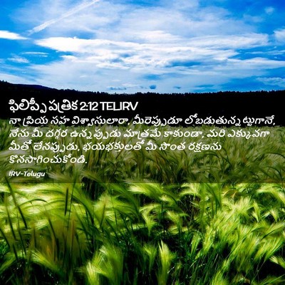 Picture 02 - ఫిలిప్పీ పత్రిక 2:12 TELIRV - నా ప్రియ సహ - Bible Verse Picture