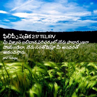 Picture 02 - ఫిలిప్పీ పత్రిక 2:17 TELIRV - మీ విశ్వాస బలిదాన - Bible Verse Picture