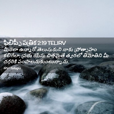 Picture 02 - ఫిలిప్పీ పత్రిక 2:19 TELIRV - మీరెలా ఉన్నారో - Bible Verse Picture