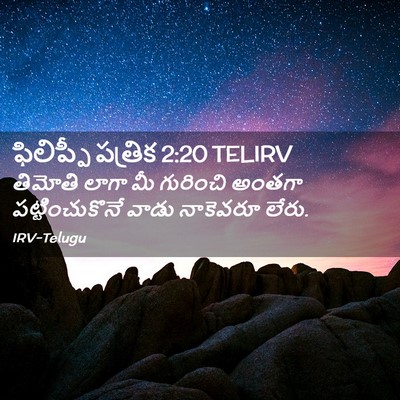 Picture 02 - ఫిలిప్పీ పత్రిక 2:20 TELIRV - తిమోతి లాగా మీ - Bible Verse Picture