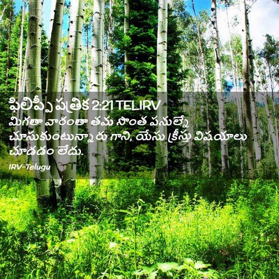 Picture 02 - ఫిలిప్పీ పత్రిక 2:21 TELIRV - మిగతా వారంతా తమ - Bible Verse Picture