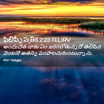 Picture 02 - ఫిలిప్పీ పత్రిక 2:23 TELIRV - అందుచేత నాకు ఏం - Bible Verse Picture
