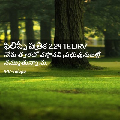 Picture 02 - ఫిలిప్పీ పత్రిక 2:24 TELIRV - నేను త్వరలో - Bible Verse Picture