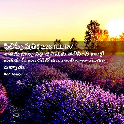 Picture 02 - ఫిలిప్పీ పత్రిక 2:26 TELIRV - అతడు జబ్బు - Bible Verse Picture