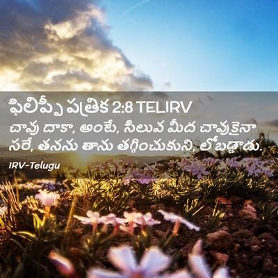 Picture 02 - ఫిలిప్పీ పత్రిక 2:8 TELIRV - చావు దాకా, అంటే, - Bible Verse Picture