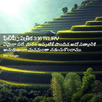 Picture 02 - ఫిలిప్పీ పత్రిక 3:16 TELIRV - ఏమైనా సరే, మనం - Bible Verse Picture
