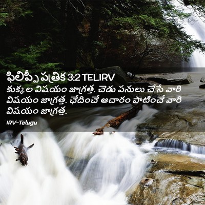 Picture 02 - ఫిలిప్పీ పత్రిక 3:2 TELIRV - కుక్కల విషయం - Bible Verse Picture