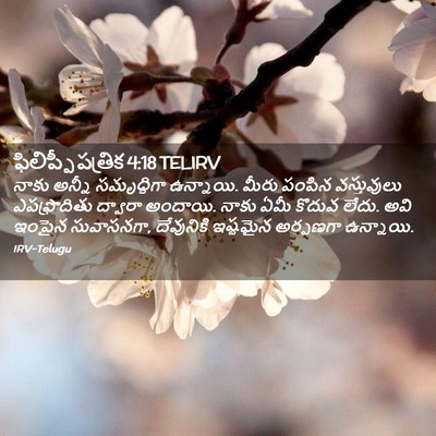 Picture 02 - ఫిలిప్పీ పత్రిక 4:18 TELIRV - నాకు అన్నీ - Bible Verse Picture