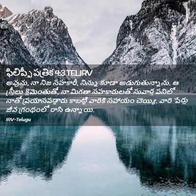 Picture 02 - ఫిలిప్పీ పత్రిక 4:3 TELIRV - అవును, నా నిజ - Bible Verse Picture