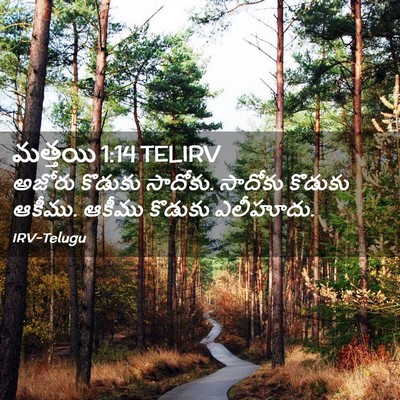 Picture 02 - మత్తయి 1:14 TELIRV - అజోరు కొడుకు - Bible Verse Picture