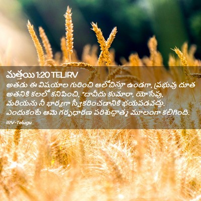 Picture 02 - మత్తయి 1:20 TELIRV - అతడు ఈ విషయాల - Bible Verse Picture