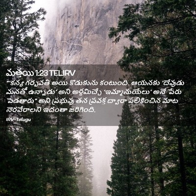 Picture 02 - మత్తయి 1:23 TELIRV - “‘కన్య గర్భవతి - Bible Verse Picture