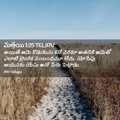 Picture 02 - మత్తయి 1:25 TELIRV - అయితే ఆమె - Bible Verse Picture