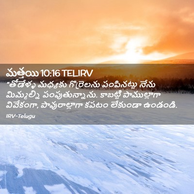 Picture 02 - మత్తయి 10:16 TELIRV - “తోడేళ్ళ మధ్యకు - Bible Verse Picture