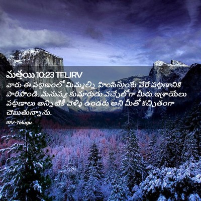 Picture 02 - మత్తయి 10:23 TELIRV - వారు ఈ పట్టణంలో - Bible Verse Picture