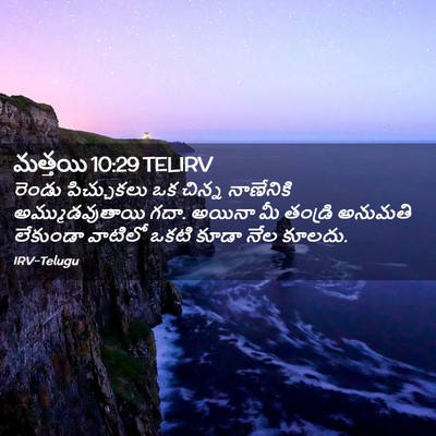Picture 02 - మత్తయి 10:29 TELIRV - రెండు పిచ్చుకలు - Bible Verse Picture