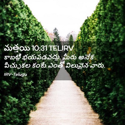 Picture 02 - మత్తయి 10:31 TELIRV - కాబట్టి - Bible Verse Picture