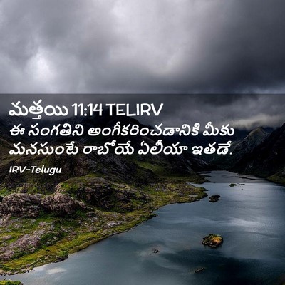 Picture 02 - మత్తయి 11:14 TELIRV - ఈ సంగతిని - Bible Verse Picture