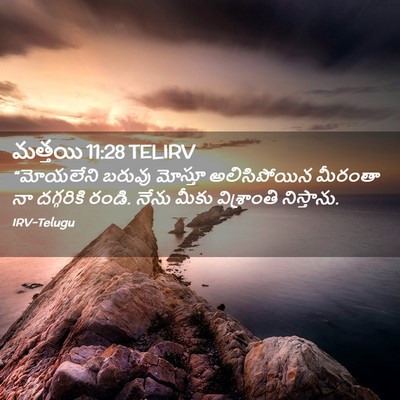 Picture 02 - మత్తయి 11:28 TELIRV - “మోయలేని బరువు - Bible Verse Picture