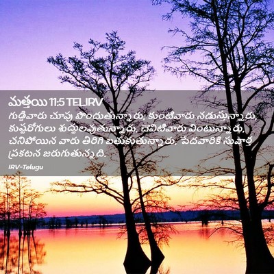 Picture 02 - మత్తయి 11:5 TELIRV - గుడ్డివారు చూపు - Bible Verse Picture