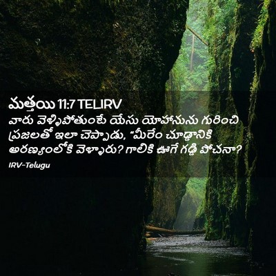 Picture 02 - మత్తయి 11:7 TELIRV - వారు - Bible Verse Picture
