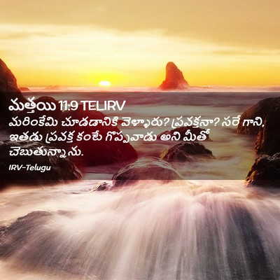 Picture 02 - మత్తయి 11:9 TELIRV - మరింకేమి - Bible Verse Picture