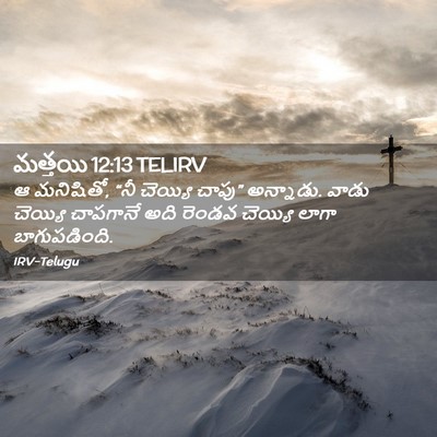 Picture 02 - మత్తయి 12:13 TELIRV - ఆ మనిషితో, “నీ - Bible Verse Picture